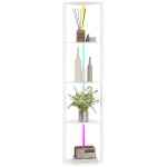 LED grindinis &scaron;viestuvas, 5 lygių pritemdomas pastatomas &scaron;viestuvas su lentyna, RGB spalvos keitimas, nuotolinio valdymo pultas 42 x 29.5 x 163 cm balta