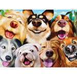 Visas apvalus/kvadratinis deimantinis pie&scaron;imas 5D &scaron;unų siuvinėjimas gyvūnų mozaika namų dekoras Rankų darbo deimantinis menas Full Round 20X30CM