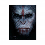 Rise Planet Of the Apes Drobė Tapyba gyvūnas Orangutanas Plakatas ir spaudiniai Sieninis paveikslas Cuadros namų dekoravimui Svetainė 21*30cm