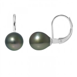 PERLINEA - Boucles d'Oreilles - V&eacute;ritables Perles de Culture de Tahiti Ovales 8-9 mm - Argent Massif - Bijoux Femme