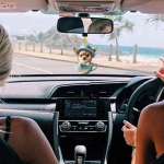 Mielas akrilo sūpynės &scaron;unų puodelio dizainas automobilio interjero ornamentas plok&scaron;čias akrilinis automatinis galinio vaizdo veidrodėlis salono dekoras automobilio interjeras United States