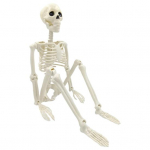 Helovyno skeletas viso kūno slankiojantys sąnariai Realisti&scaron;ki žmogaus skeleto papuo&scaron;imai vakarėliui namuose vaiduokli&scaron;ka gudrybė ir &scaron;ventinis žaislas D