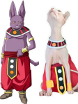 Rankų darbo Sfinkso Cosplay Kostiumai Beplaukių Kačių Drabužiai Sunaikinimo Dievo Klyną Saugantys Kelnės Dropshipping Kačių Drabužiai 5-8 months