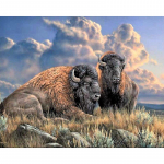 5D &bdquo;pasidaryk pats&ldquo; deimantinis pie&scaron;imas kryželiu &bdquo;Grassland bizon&ldquo; kalnų kri&scaron;tolinio akmens siuvinėjimas 20X30CM