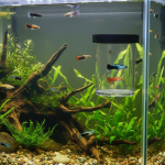 Guppy Veisimo Dėžutė Auk&scaron;to Matomumo Plūduriuojanti Veisimo Dėžutė Dvigubo Tinklelio Dizainas Plūduriuojanti Veisimo Dėžutė WhiteM