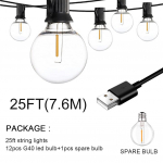 100/50/25 pėdų USB LED &scaron;viestuvai 5V 1W G40 plastikinė lemputė, vandeniui atspari lauko palapinė Fėjos kiemo &scaron;ventės styginių &scaron;viesų vestuvių dekoras