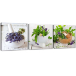 Set of three pictures canvas print Herbs and spices