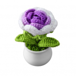 Mielas stilius &bdquo;pasidaryk pats&ldquo; rankomis austas imitacinis vazono mezgimas, rožių gėlės, vazoniniai augalai, siūlai, nerti, megzti, baigti rožių bonsai, namų dekoratyvinis ornamentas A