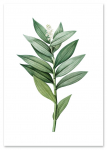 Plakat zielona gałązka 21x29,7 cm A4