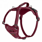 Harnais - HALTI - Anatomy Halti - Magenta - Taille XS - Ergonomique et R&eacute;fl&eacute;chissant purpurinė