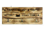 Cesky Terrier, Czech Terrier, Bohemian Terrier - clothes hanger with a dog, medal display, home decoration from the Art-Dog brand