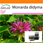 SAFLAX Sodas mai&scaron;elyje - Bergamočių / Oswego arbata - 20 sėklų - Su substratu tinkamame stovimame mai&scaron;elyje - Monarda didyma