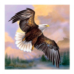 Deimantinis siuvinėjimas Animal Eagle 5D Deimantinis tapybos mozaika paveikslėlis Rankų darbo namų dekoras 30X30CM