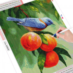 Diamond Paintnig Bird Fruit Siuvinėjimo kryželiu rinkinys Siuvinėjimas karoliukais mozaikinis paveikslas gyvūnas 20X30CM