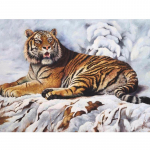 Deimantinė mozaika DIY 3D Deimantinė tapyba Pilnas deimantų siuvinėjimas Kryželiu Tigras liūtas leopardas 20X30CM