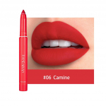 HANDAIYAN 12 spalvų matinis vandeniui atsparus Velvet Nude lūpų pie&scaron;tukas Sexy Red Brown Pigments Makiažo ilgai i&scaron;liekantis profesionalus 06