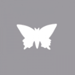 Perforatrice Papillon 1,6 cm