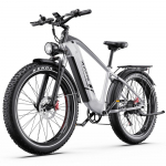 Elektrinis dviratis DUOTTS F26 Lite 750W variklis Elektrinis dviratis suaugusiems Didžiausias greitis 50 km/h 48V 18AH Maksimalus nuvažiuojamas atstumas 90 km Apkrova 150 kg 2 spalvos 48V 18AH pilka