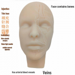 Mikroplastinės chirurgijos praktikos galvos forma su anatomija veido grožiui ir injekcijų mokymuisi 24 cm