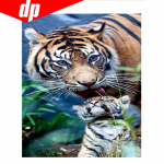 5D &bdquo;pasidaryk pats&ldquo; deimantinis pie&scaron;imas tigrų &scaron;eimai deimantinis siuvinėjimas 3D siuvinėjimas kryželiu rankdarbiai 20X30