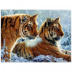 5D deimantų tapyba Viso apvalaus pristatymo Tigro deimantų siuvinėjimas Gyvūnai Kalnų kri&scaron;tolų nuotraukos 20X30CM