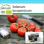 SAFLAX Dovanų rinkinys &ndash; Ekologi&scaron;kas &ndash; Pomidoras &ndash; Matina &ndash; 10 sėklų &ndash; Su dovanų dėžute, kortele, etikete ir vazono substratu &ndash; Solanum lycopersicum