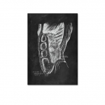 Žmogaus raumuo Pėda Kaulas &Scaron;irdis Anatomija Skeletas Plakatai Drobės Paveikslai ir spaudiniai Cuadros Meno Apdaila Freska Namų kambario dekoras Be rėmelio 21*30cm No Frame