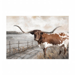 Farm Animal Highland Cow fotografija Sienos Menas Drobė Tapyba Plakatai Spaudiniai Juodai Balta Sodybos sienų dekoras Namų dekoravimas 20x30cm