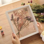 3D dvipusis skaidrus rėmelis DIY džiovintų rožių pavyzdžių eksponavimui Square 12 inch