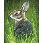 &bdquo;Pasidaryk pats&ldquo; triu&scaron;is, 5D deimantinis paveikslas, pilnas apvalus grąžtas gyvūnai, deimantinis siuvinėjimas kryželiu mozaikos dervos sienos menas, namų dekoro dovana Full Round 20x30CM