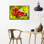 Deimantai Drugelis Gyvūnas Deimantinis Siuvinėjimas Siuvinėjimas kryželiu 5d Deimantų tapyba Visas apvalus deimantas 20X30CM