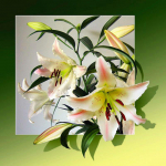 Naujas deimantinis tapybos rožinis pilnas apvalus gręžimas deimantinis siuvinėjimas Gėlių siuvinėjimo kryželiu i&scaron;pardavimas namų dekoro amatų rinkinys 20x20CM