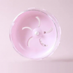 Žiurkėno pratimo ratas Sportinis bėgimo ratas Maži graužikai Pelės Tyli bėgiojimas Gyvūnai Bėgimas Sportas Gerbilas Pratimai Žaidimai Žaislai 17.5cm Without brack