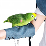 Papūga nuo įbrėžimų pečių apsaugos skara pauk&scaron;čių vystyklai papūgams Cockatiels pauk&scaron;čiams kulk&scaron;nies Arm guard mėlyna