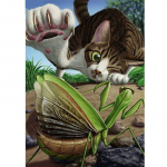 Pilnas grąžtas deimantinis dažymas kačių mantis vabzdžių kryželiu amatai deimantinis siuvinėjimas namų dekoras 20X30CM