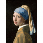 Vermeer perlų auskarai, mergaitė 1665 m. parodos plakatų menas, atspausdintas ant drobės, namų dekoravimas 21cm&times;30cm NoFrame