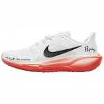 Nike Air Zoom Pegasus 41 Eliud Kipchoge HJ7037-100 44.5