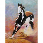 Deimantiniai siuvinėjimai Anmial Siuvinėjimas kryželiu &bdquo;pasidaryk pats&ldquo; deimantinis tapyba &bdquo;Horse&ldquo; namų dekoravimas 20X30CM