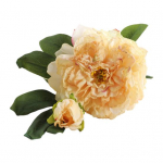 Dirbtinis Augalas Realisti&scaron;kas Daugkartinio Naudojimo Lengvas Prakti&scaron;kas Vestuvinis Bijūnų Puok&scaron;tės Stalo Puo&scaron;menos Kompozicijos Svetainės Dekoravimas geltona