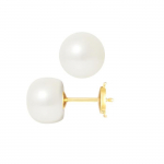 PERLINEA - Boucles d'Oreilles - V&eacute;ritables Perles de Culture d'Eau Douce Boutons 9-10 mm Blanc Naturel - Or Jaune - Bijoux Femme