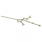 Branche de fruits d'eucalyptus 40cm žalia