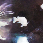 2 auk&scaron;tas - EP: &Scaron;lapios rankovės