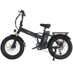 WINDGOO F21 PRO Suaugusiųjų Visureigis Elektrinis Dviratis 48V12.5Ah Baterija 250W Variklis E-Kalnų Dviratis 20 Colių Bekelės Padangos Sulankstomas Elektrinis Dviratis