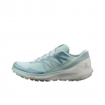 Salomon Sense Ride 4 Patogūs Lauko Sporto Bateliai Amortizuojantys Neslystantys Dilimui Atsparūs Žemi Bėgimo Bateliai Vyri&scaron;ki sportbačiai Žali L41305400 36