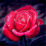 Deimantinė tapyba gėlė 5D deimantinė mozaikinė rankdarbiai Deimantinė tapyba pilnas grąžtas 20*20cm