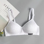 Moterų mergaičių medvilniniai apatiniai liemenėlės su viela nemokamai Push Up apatinis trikotažas Bralette Brassiere Seamleass Bras L &scaron;viesiai pilka spalva