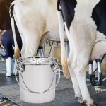 Pieno kibiras karvių ožkų melžimo prietaisas ūkio elektros tiekimo individualus aparatas