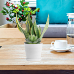 20 vnt. Imituoti sukulentai, Gaivaus stiliaus dizaino augalai, Dekoratyviniai dirbtiniai vazoniniai netikri DIY modeliavimo mini dekoracijos Pe 15x8cm