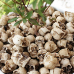 20 vnt. Mini kaukolės Helovino sodo dekoracija Bonsai kiemo ornamentas Maža skeleto galva Gėlių vazono dekoras Realisti&scaron;ki amatai 20pcs
