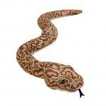 120/170cm Ruda Boa pliu&scaron;inė rankinė lėlė mink&scaron;tas ilgas gyvatė baisus laukinis ilgas gyvūnas interaktyvus scenos rekvizitas dekoras vyrams dovana 120cm hand puppet brown